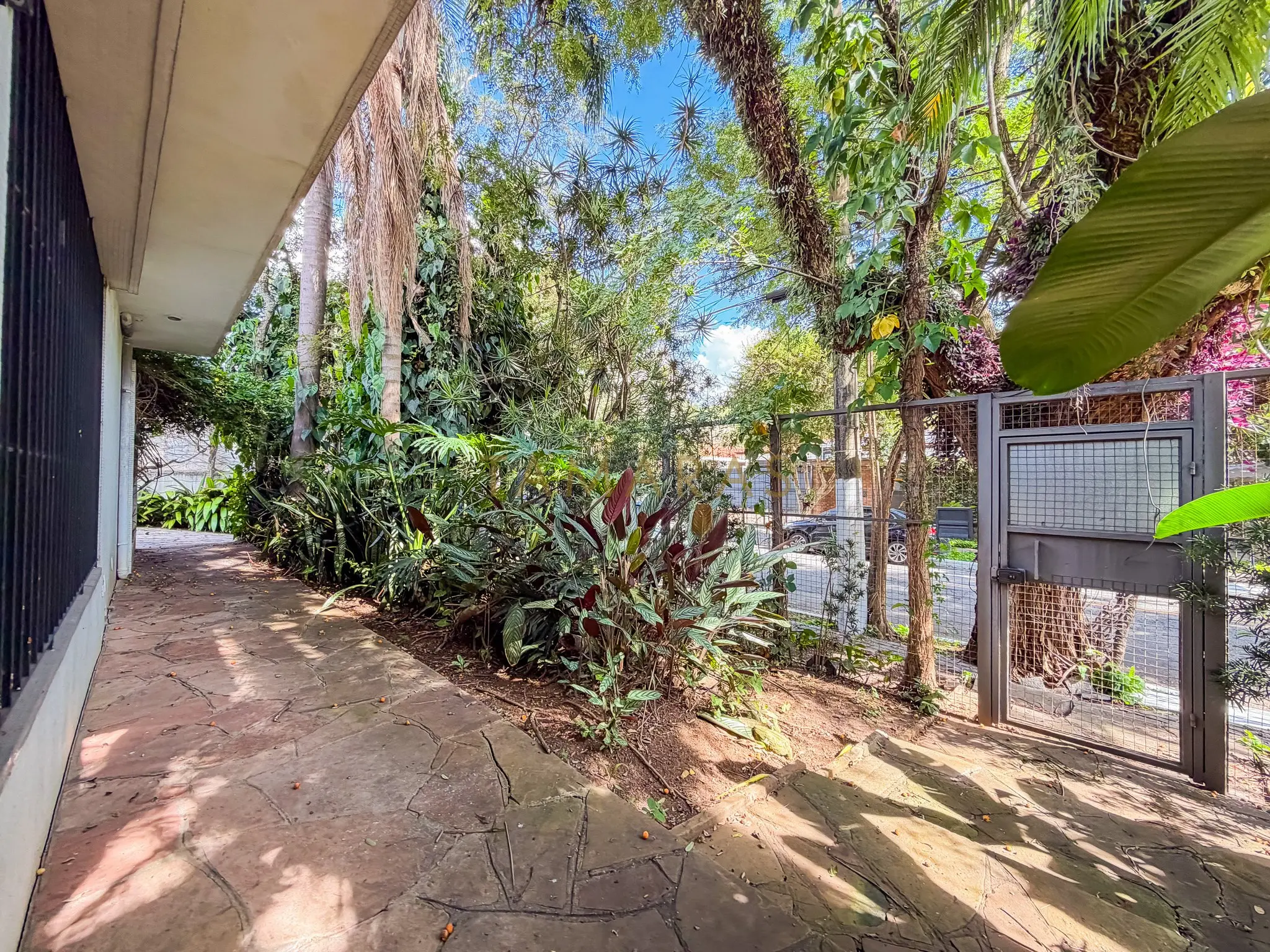 1776183192-20046-01_imagem_01