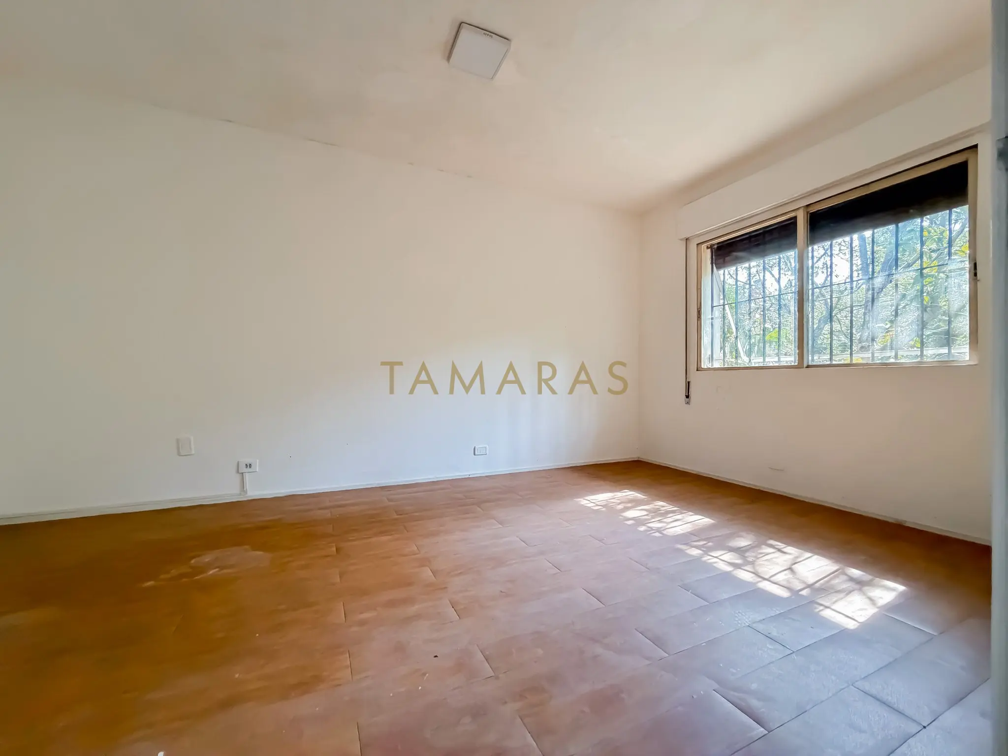 1776183192-44205-02_imagem_02