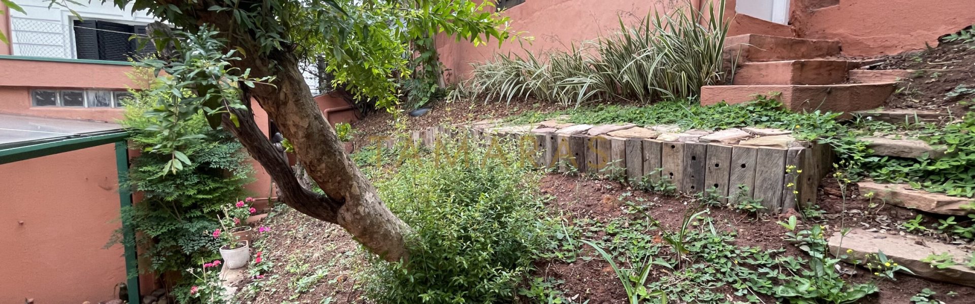 1773504807-66591-03_imagem_03