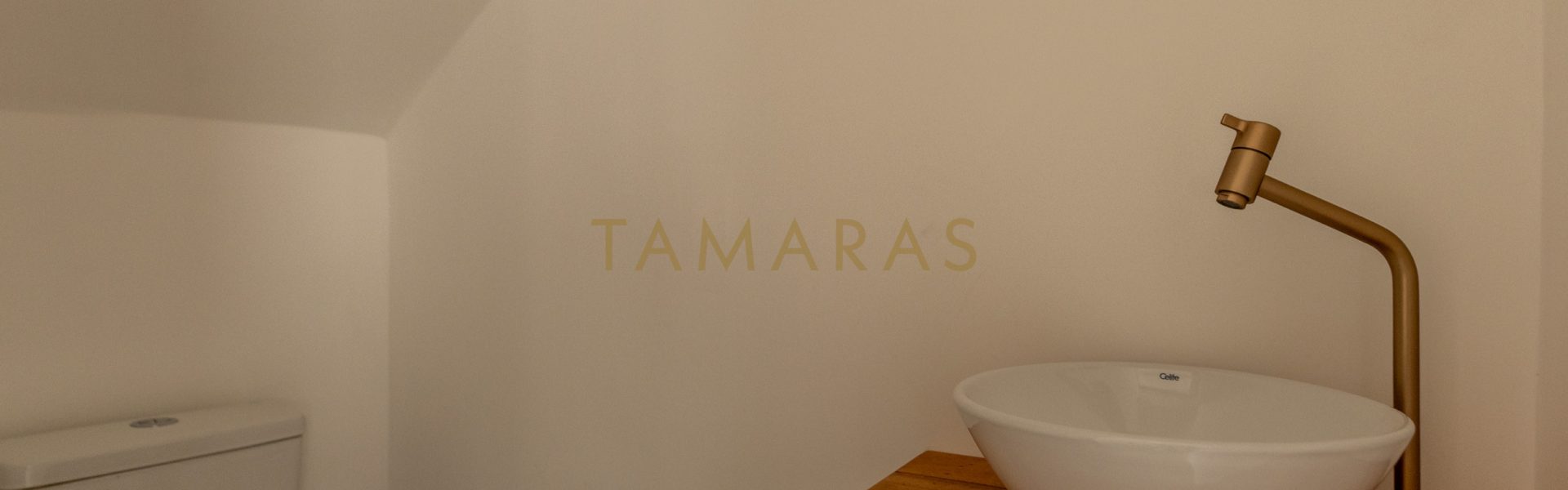 1773513730-66445-01_imagem_01