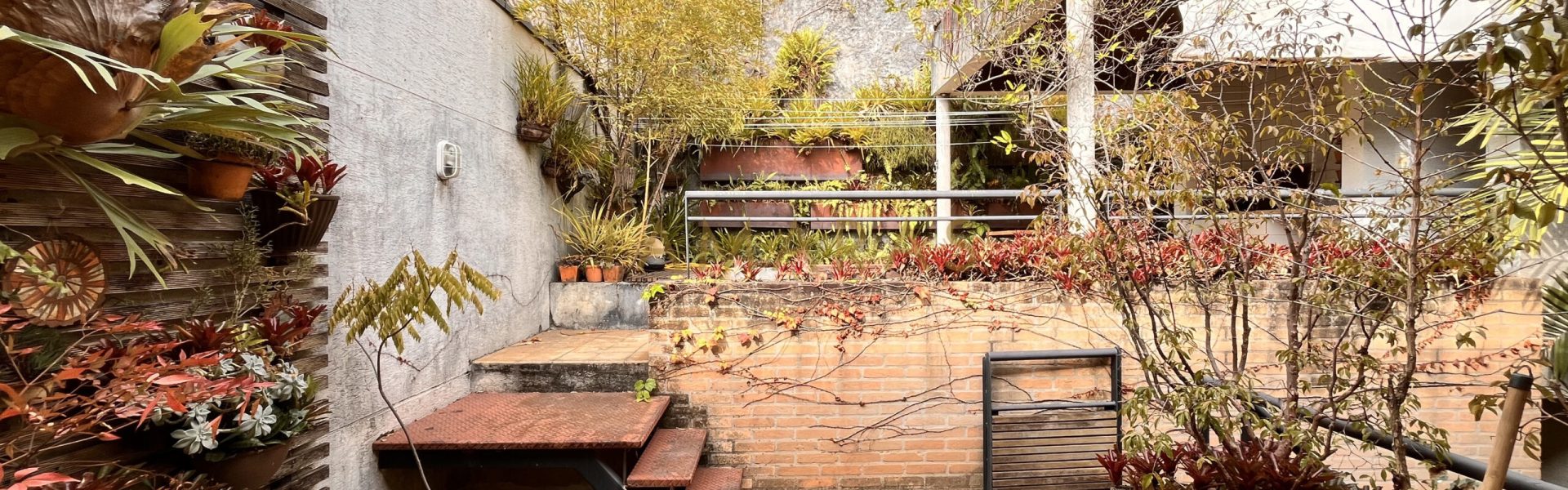 1773516515-78326-01_imagem_01