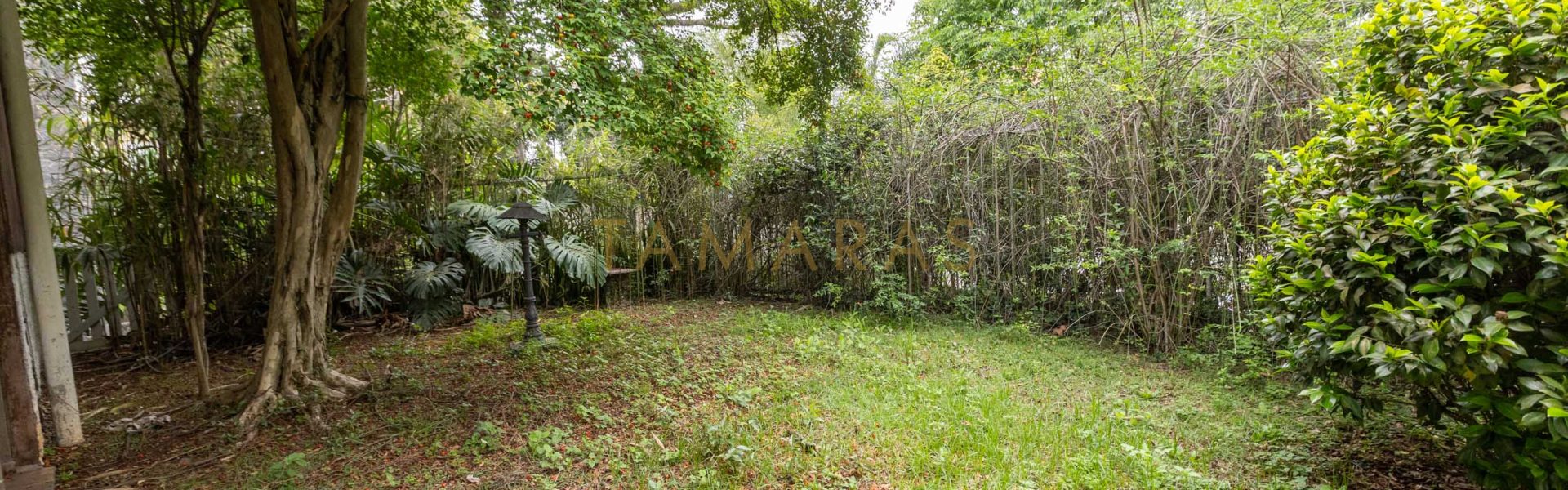 1773519815-58150-01_imagem_01