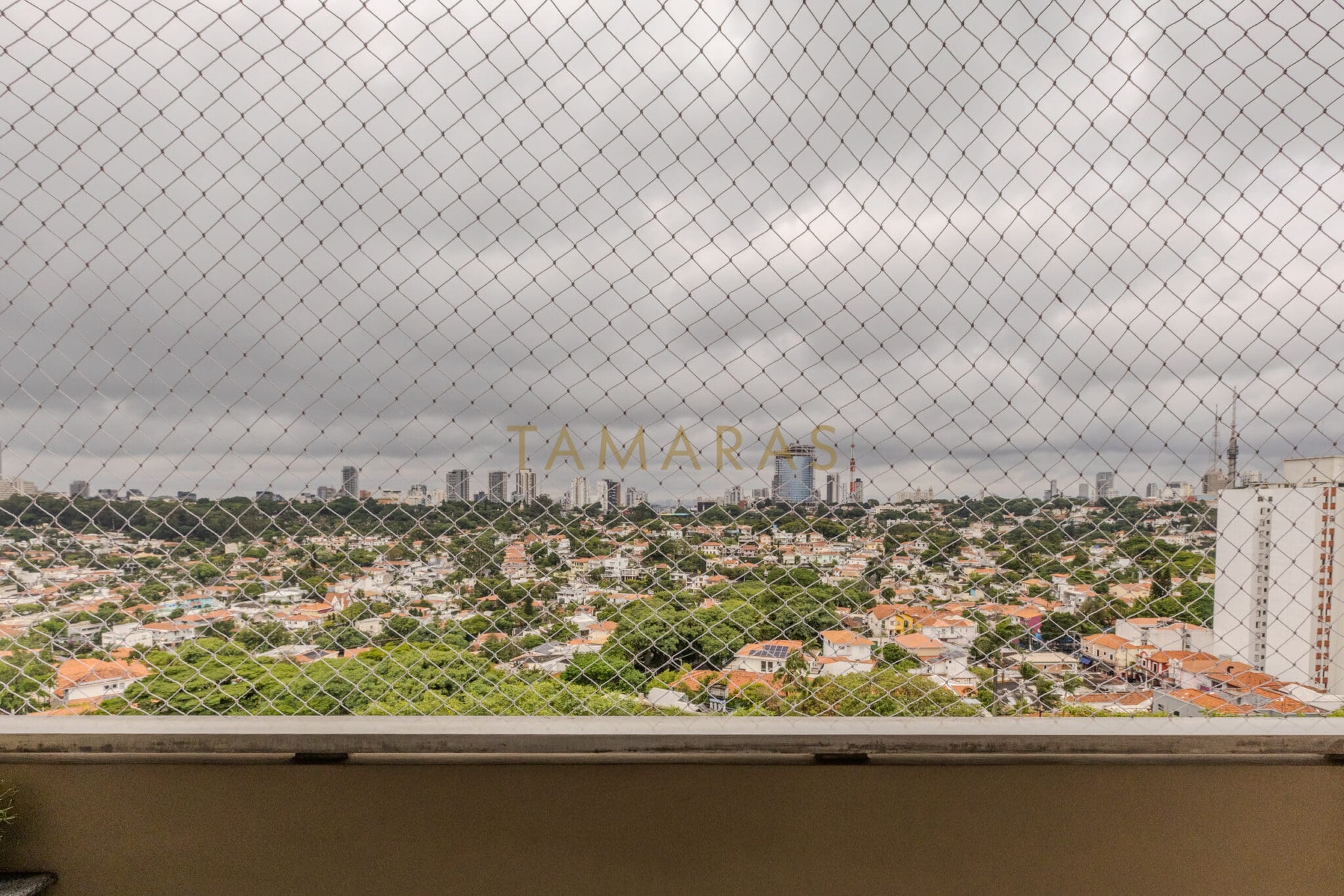 1769094908-81999-02_imagem_02