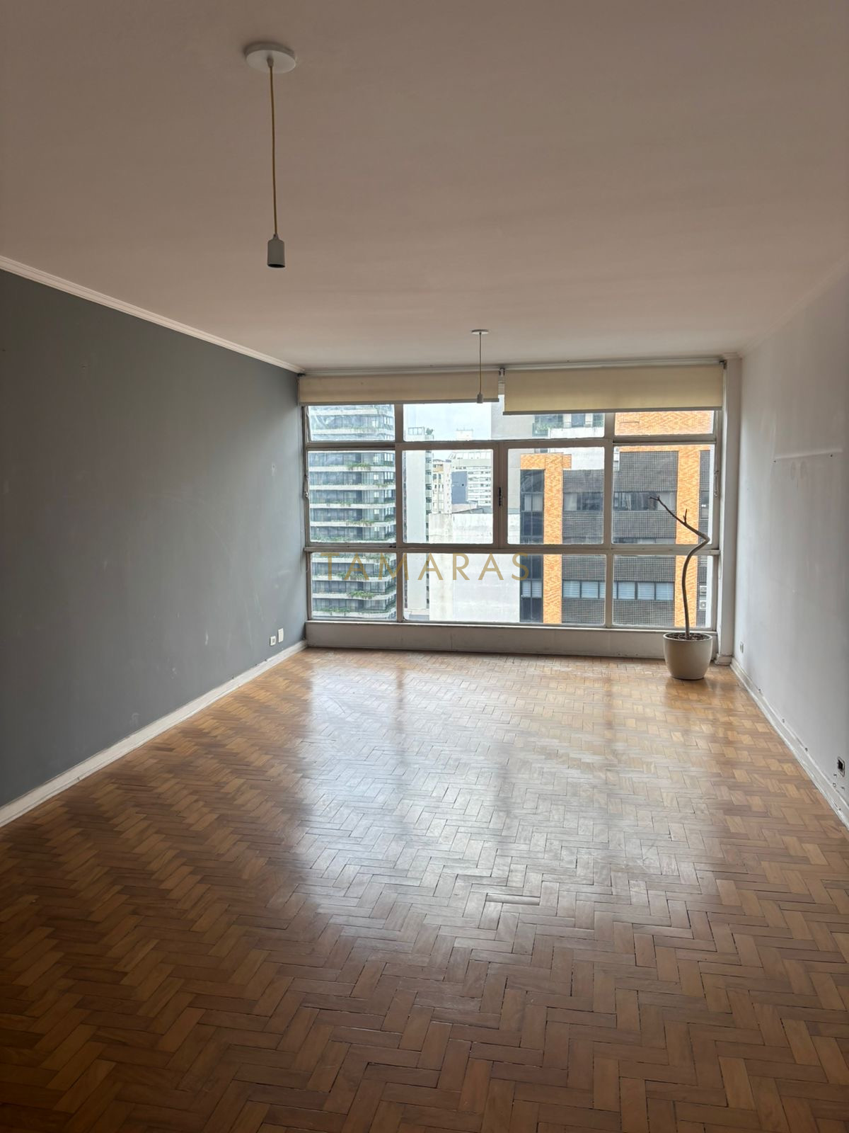 1768440605-28256-01_imagem_01