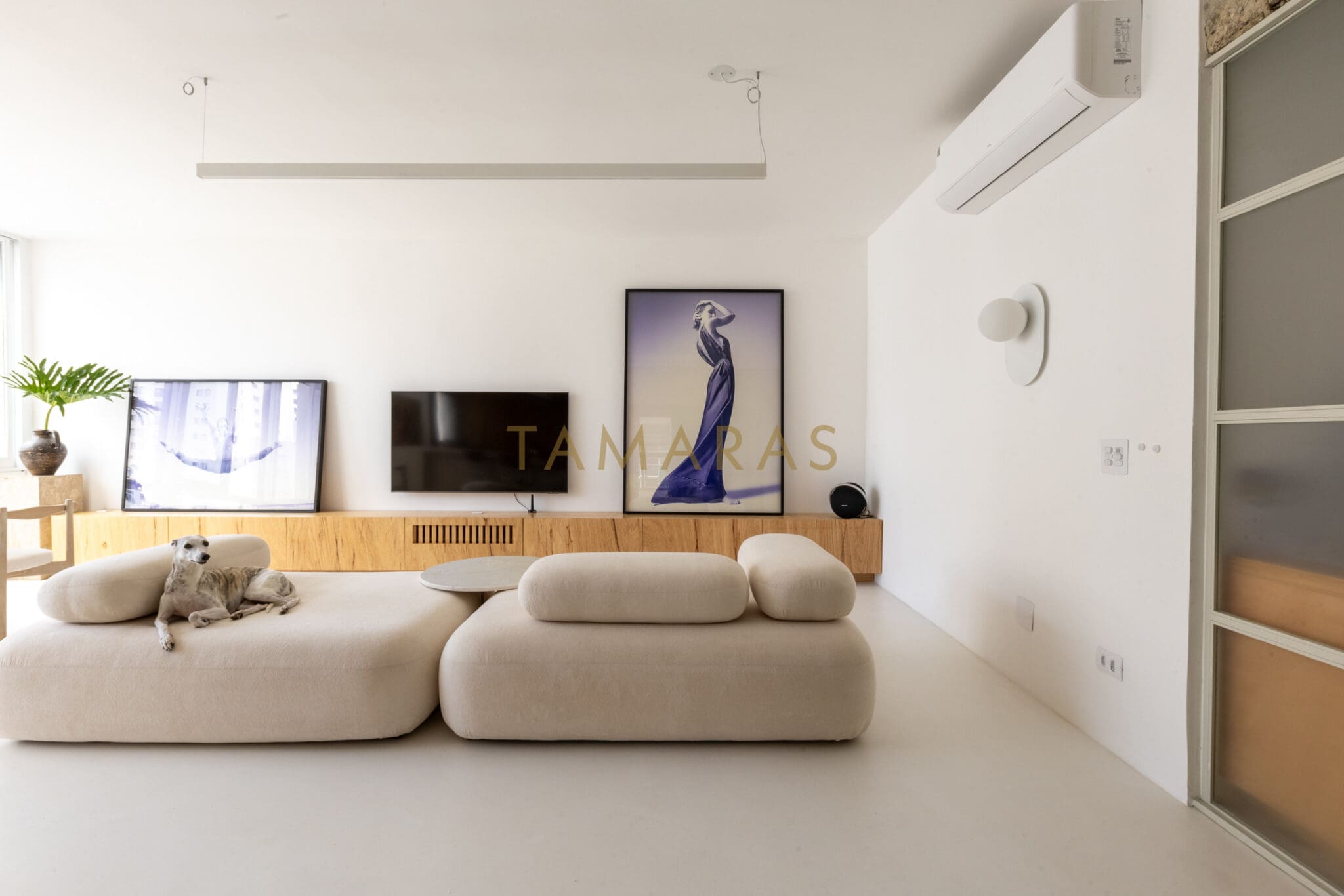 1769755508-43724-01_imagem_01