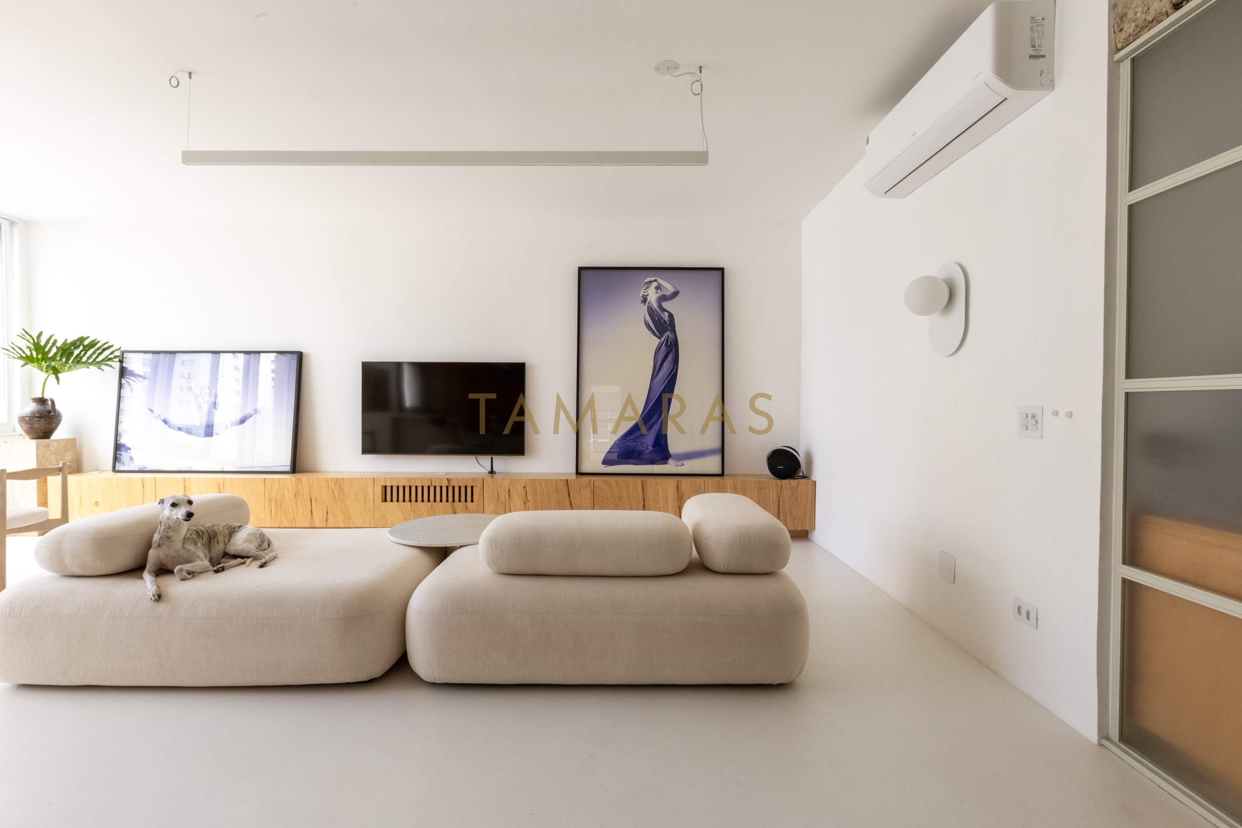 1773445781-57963-01_imagem_01