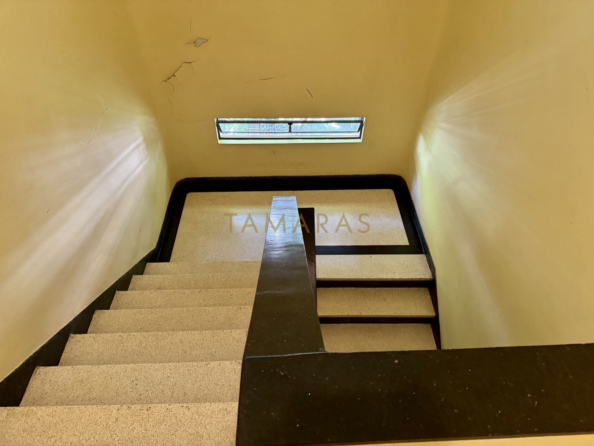 1769755653-87522-02_imagem_02