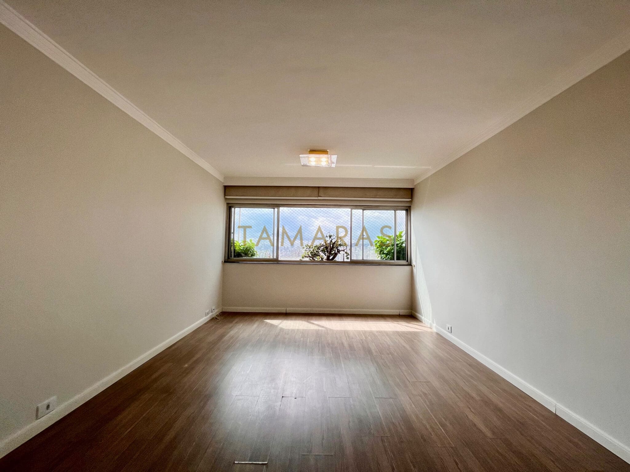 1772446436-35421-01_imagem_01