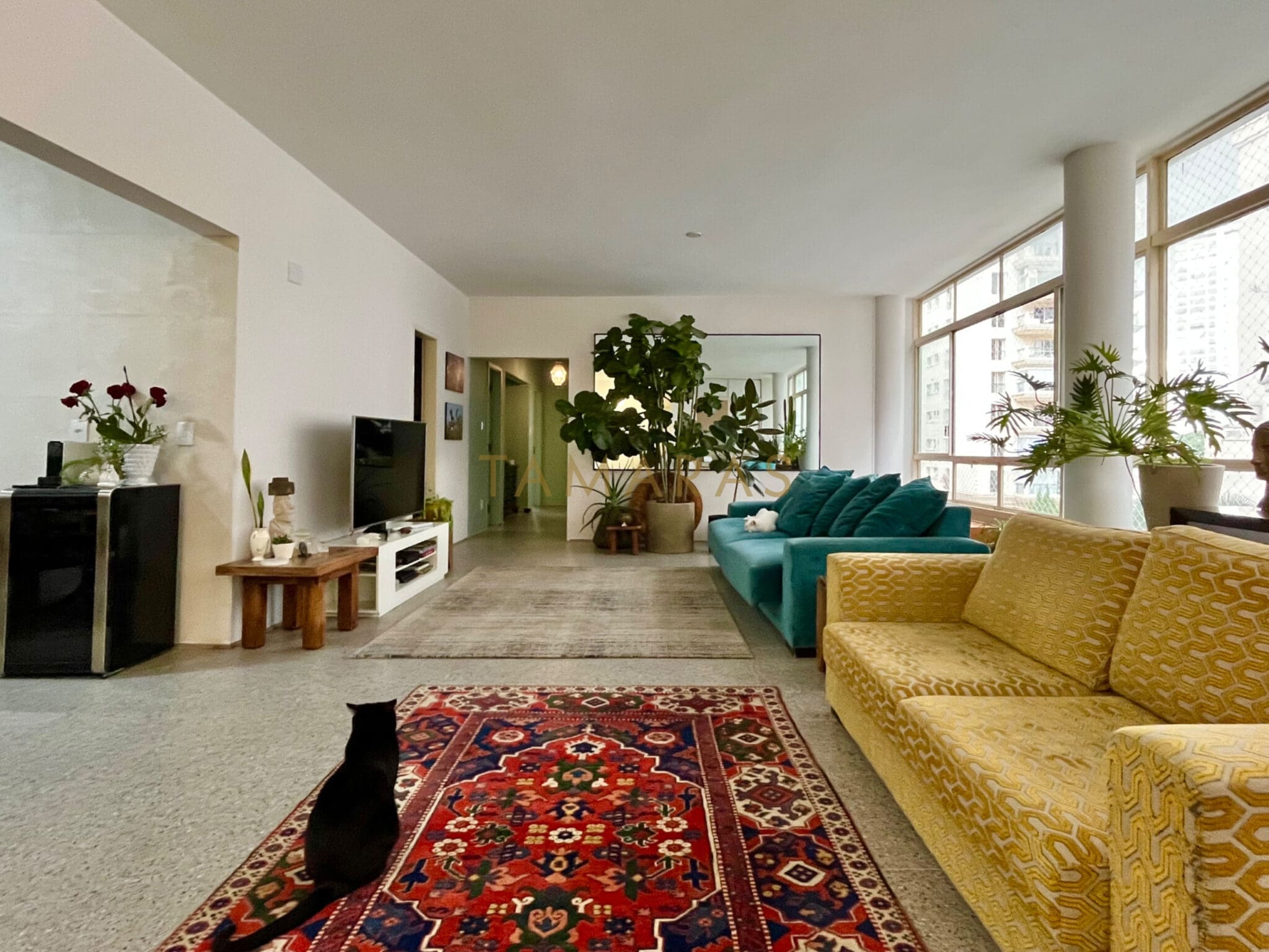 1772212232-69047-01_imagem_01