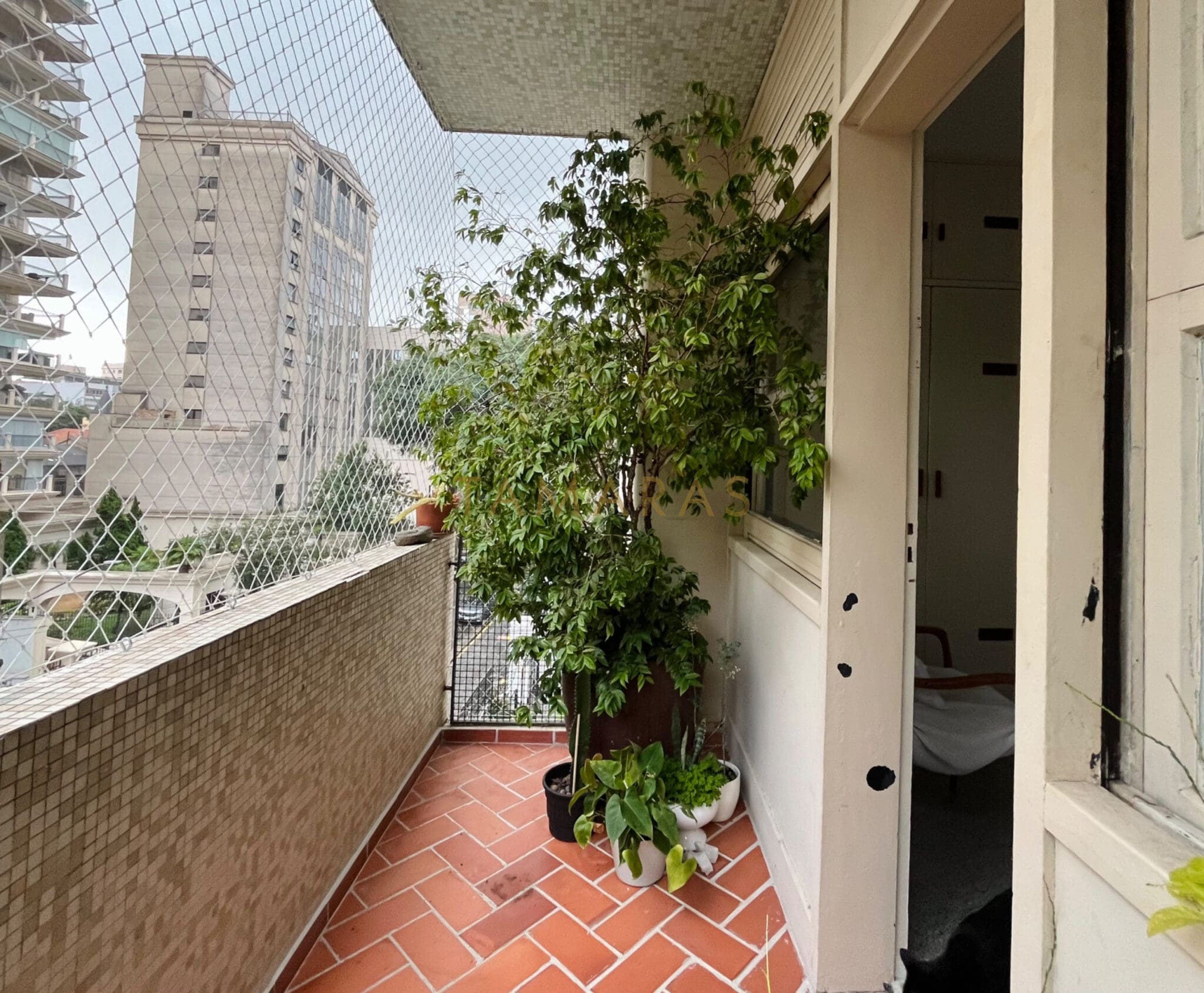 1772212232-90799-05_imagem_05