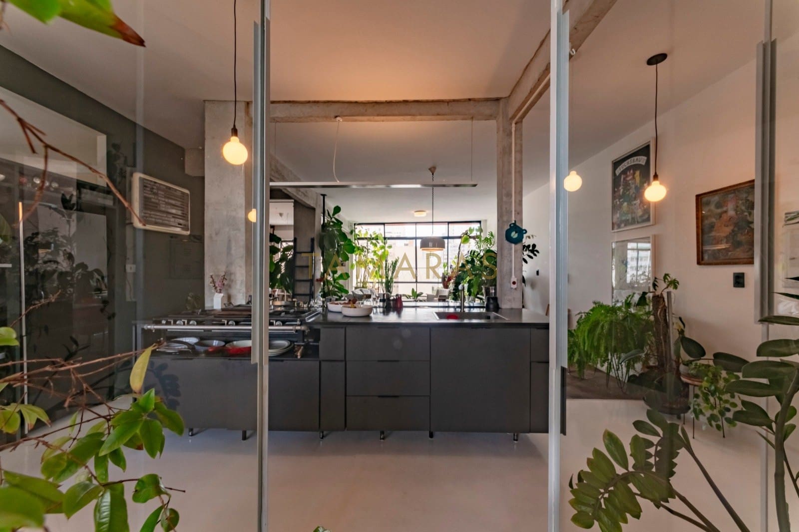 1772201495-19702-02_imagem_02