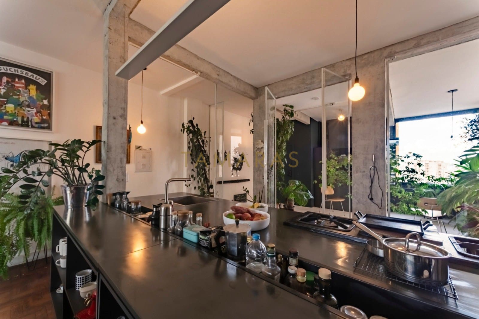 1772201495-45544-01_imagem_01