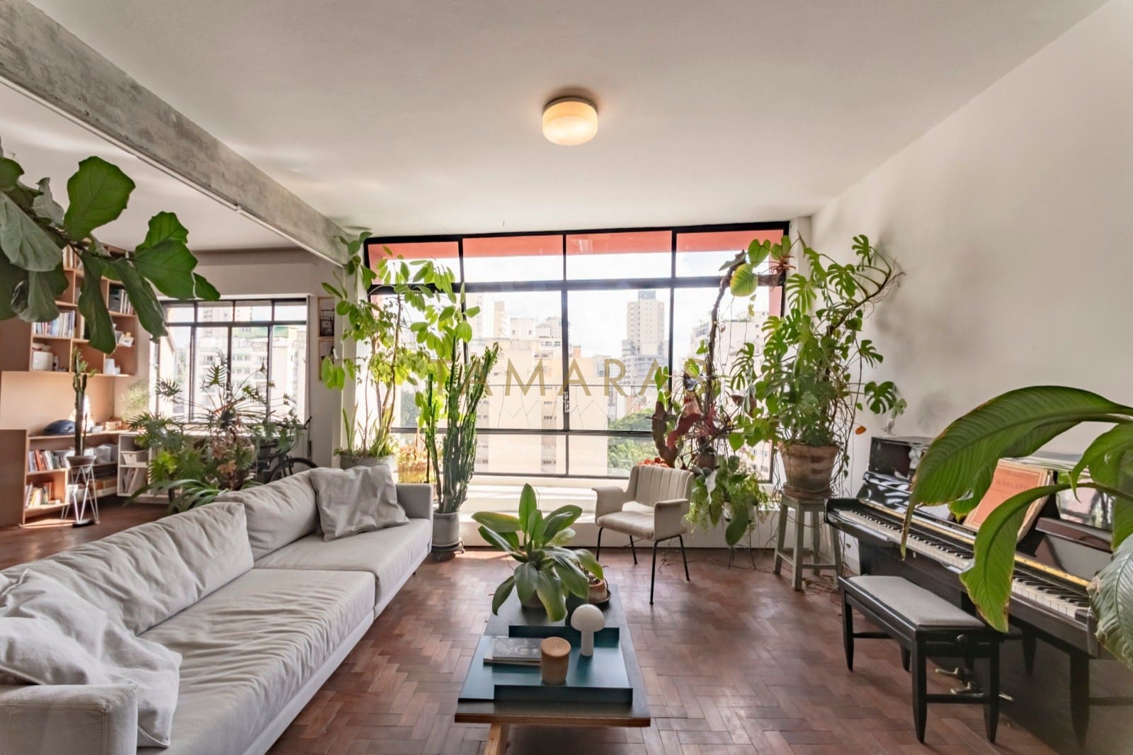 1772201495-57148-01_imagem_01