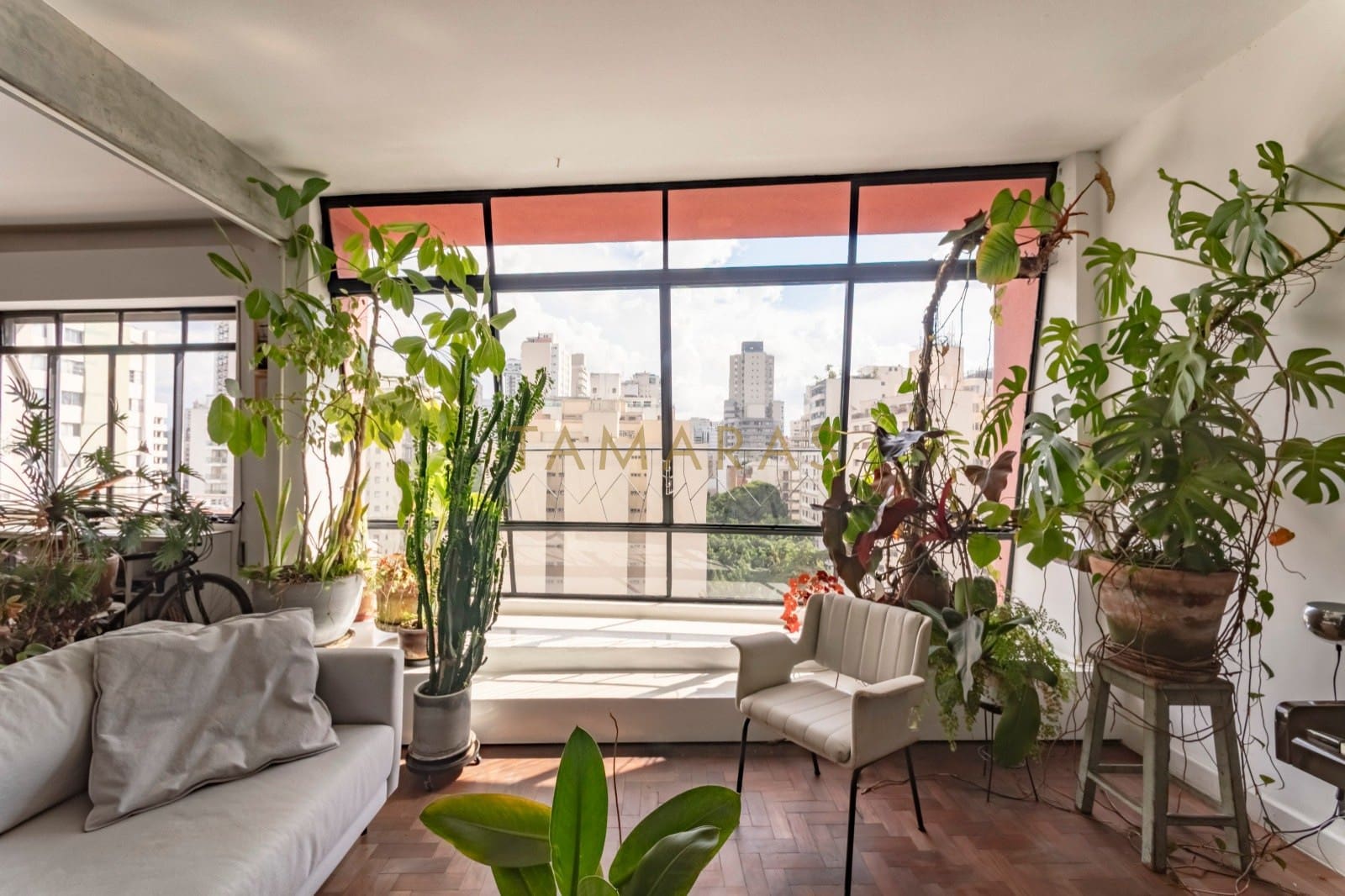 1772201495-67108-02_imagem_02