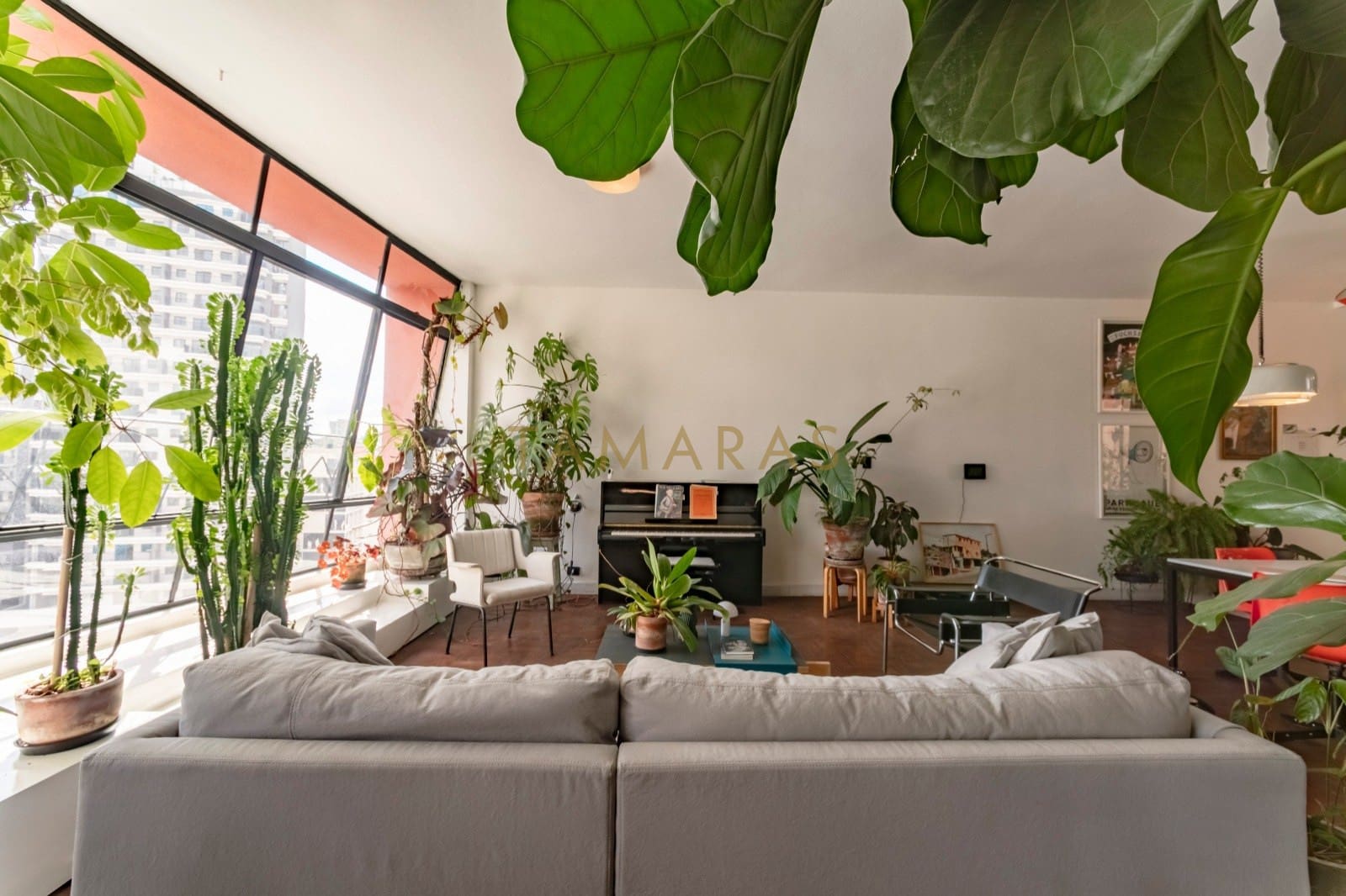 1772201495-67944-01_imagem_01