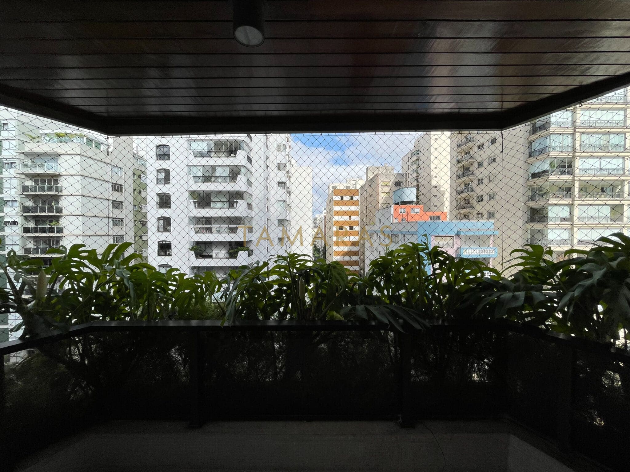 1772478822-68165-02_imagem_02