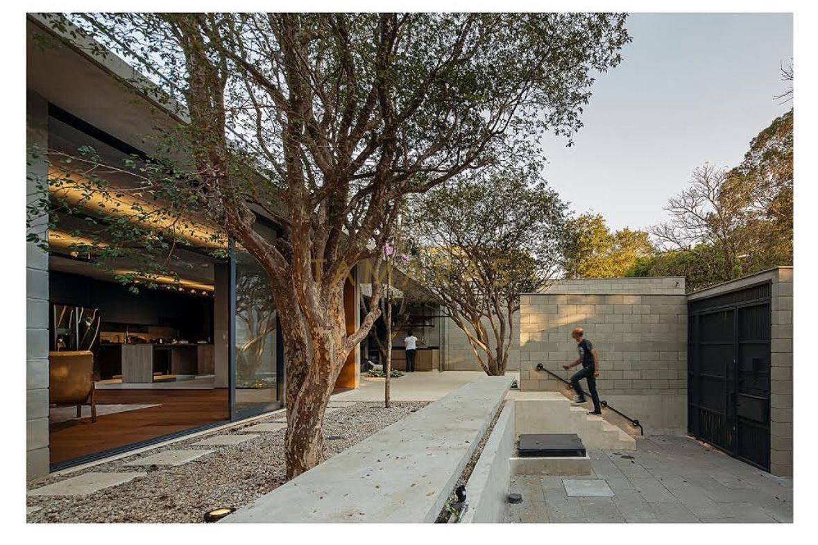 1768431608-55695-02_imagem_02