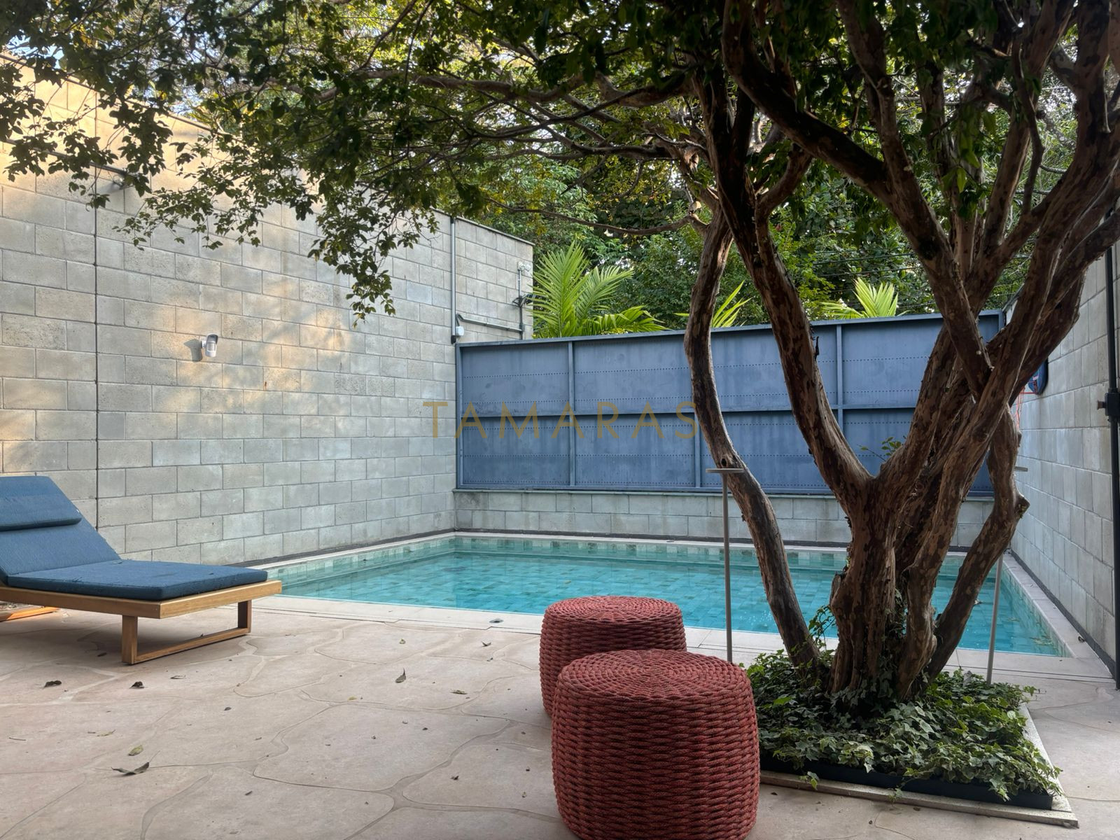 1773504620-73021-01_imagem_01