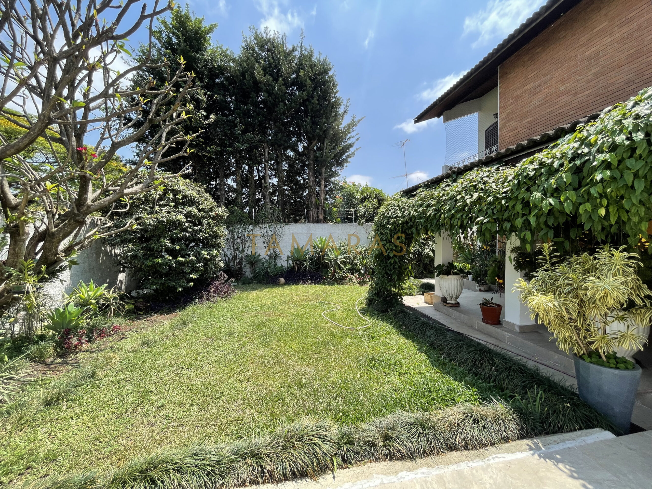 1773508625-19409-02_imagem_02