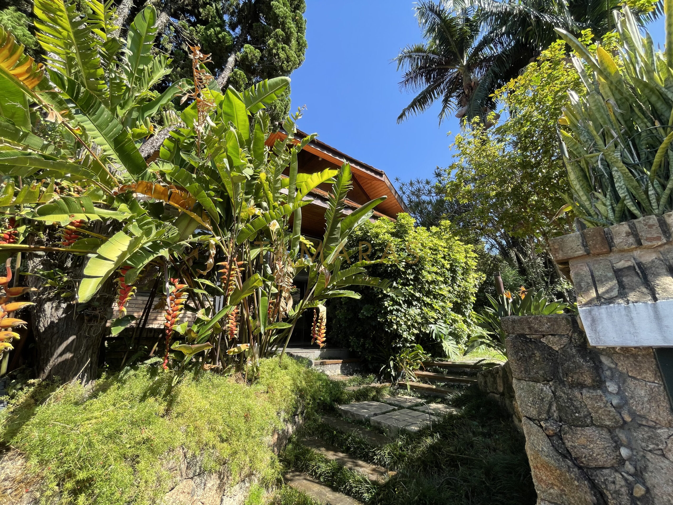 1768428905-71017-01_imagem_01