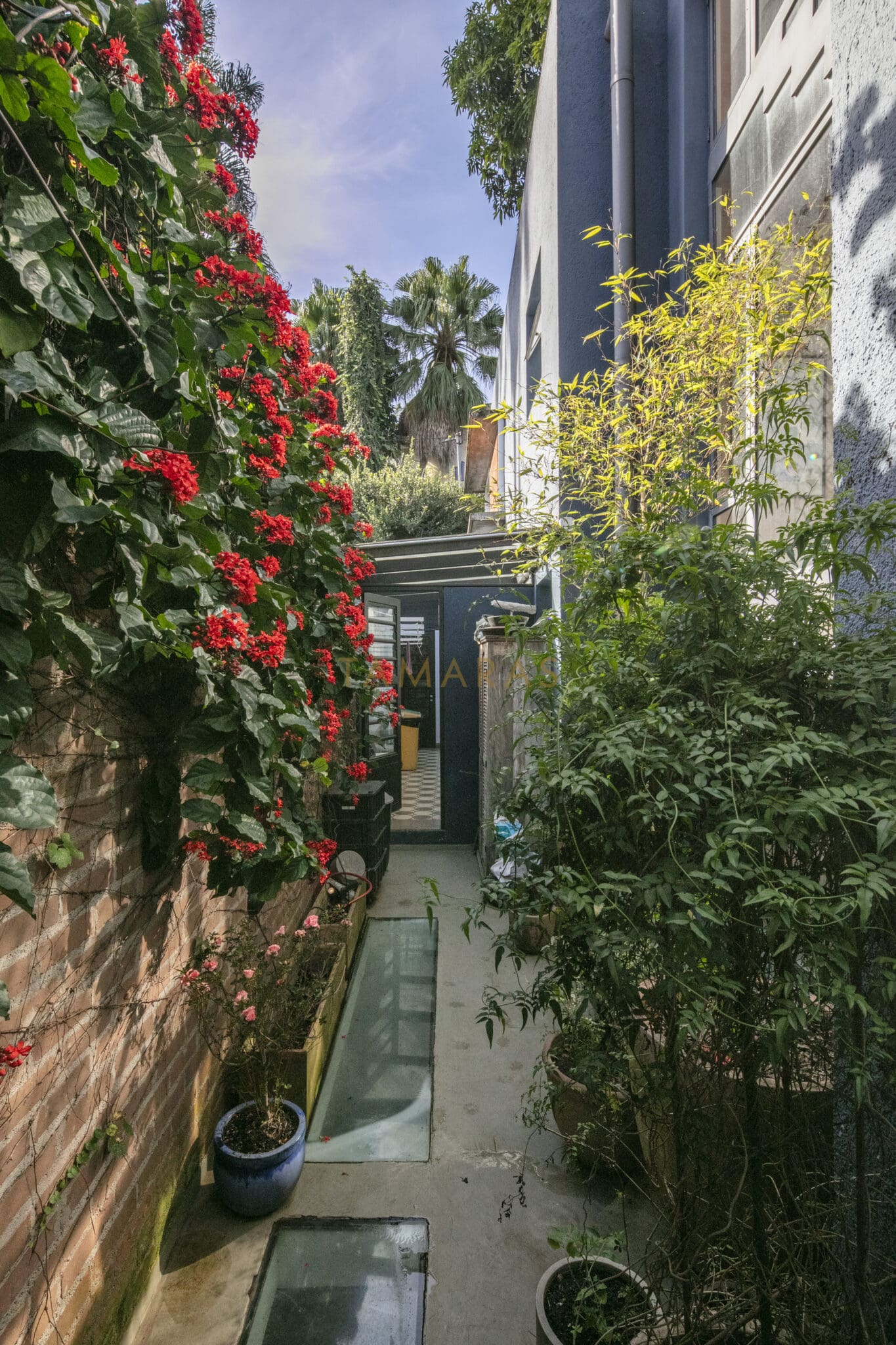 1769669107-47409-04_imagem_04