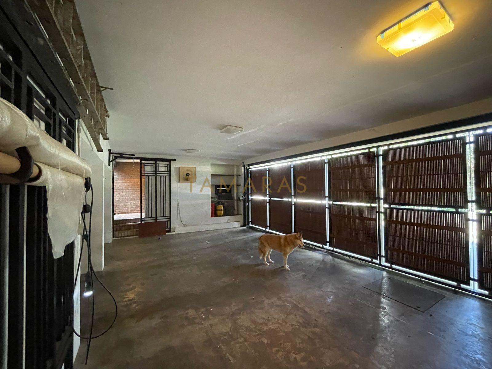 1769669107-76162-05_imagem_05