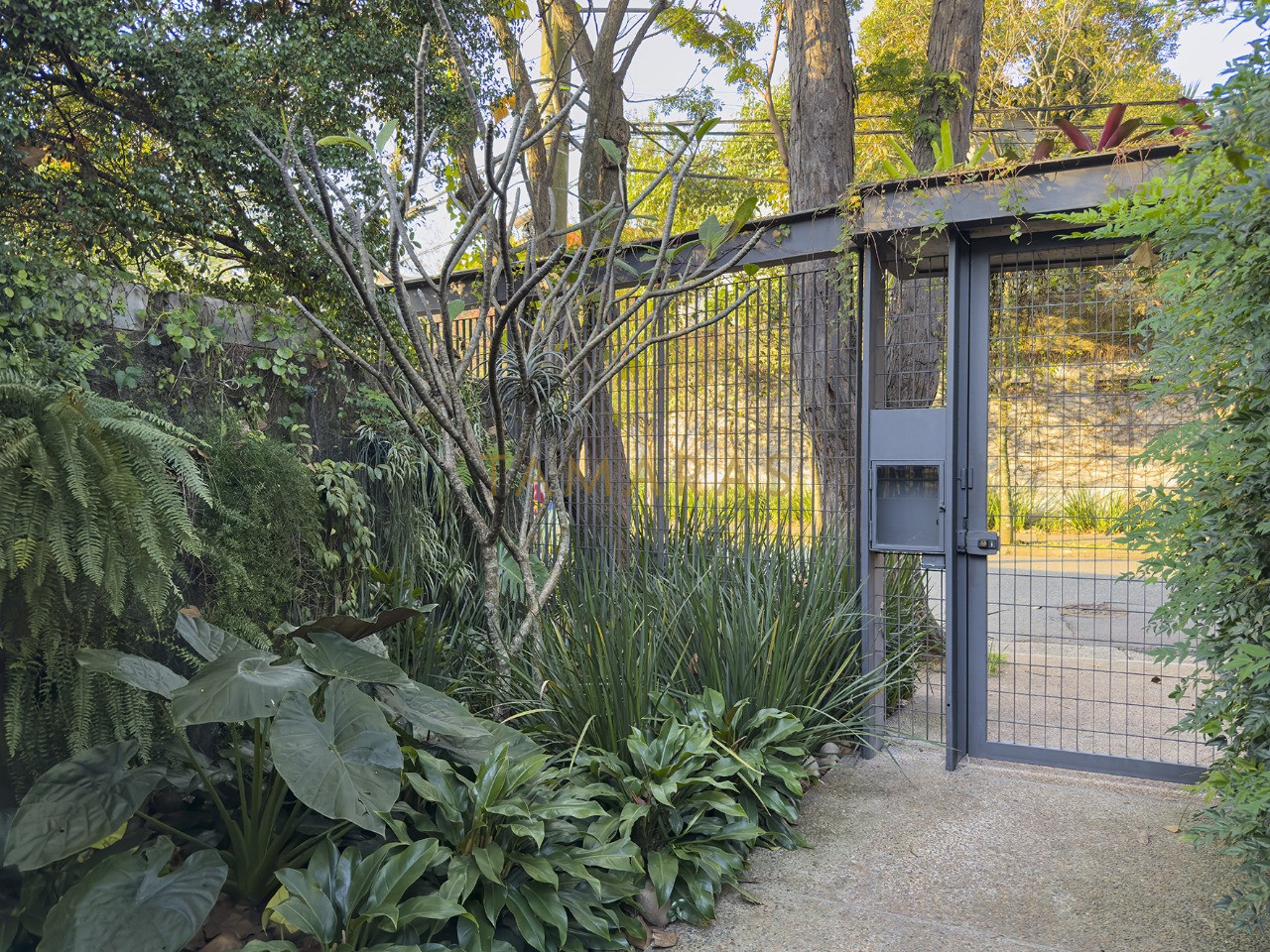 1763755351-97842-02_imagem_02