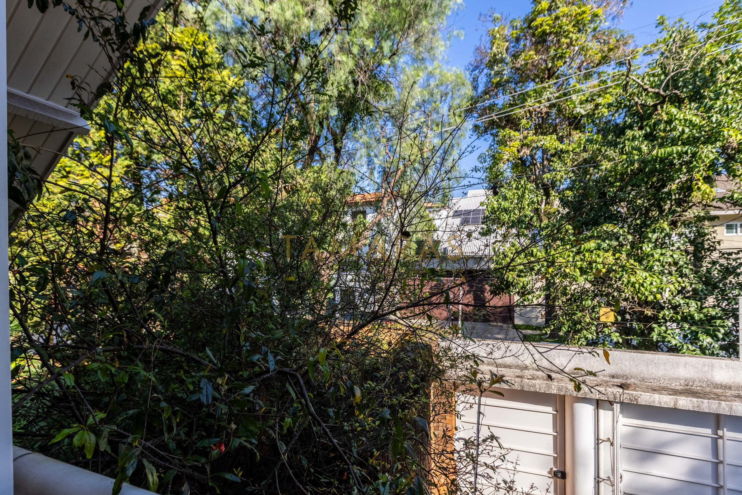 1764098324-79030-02_imagem_02