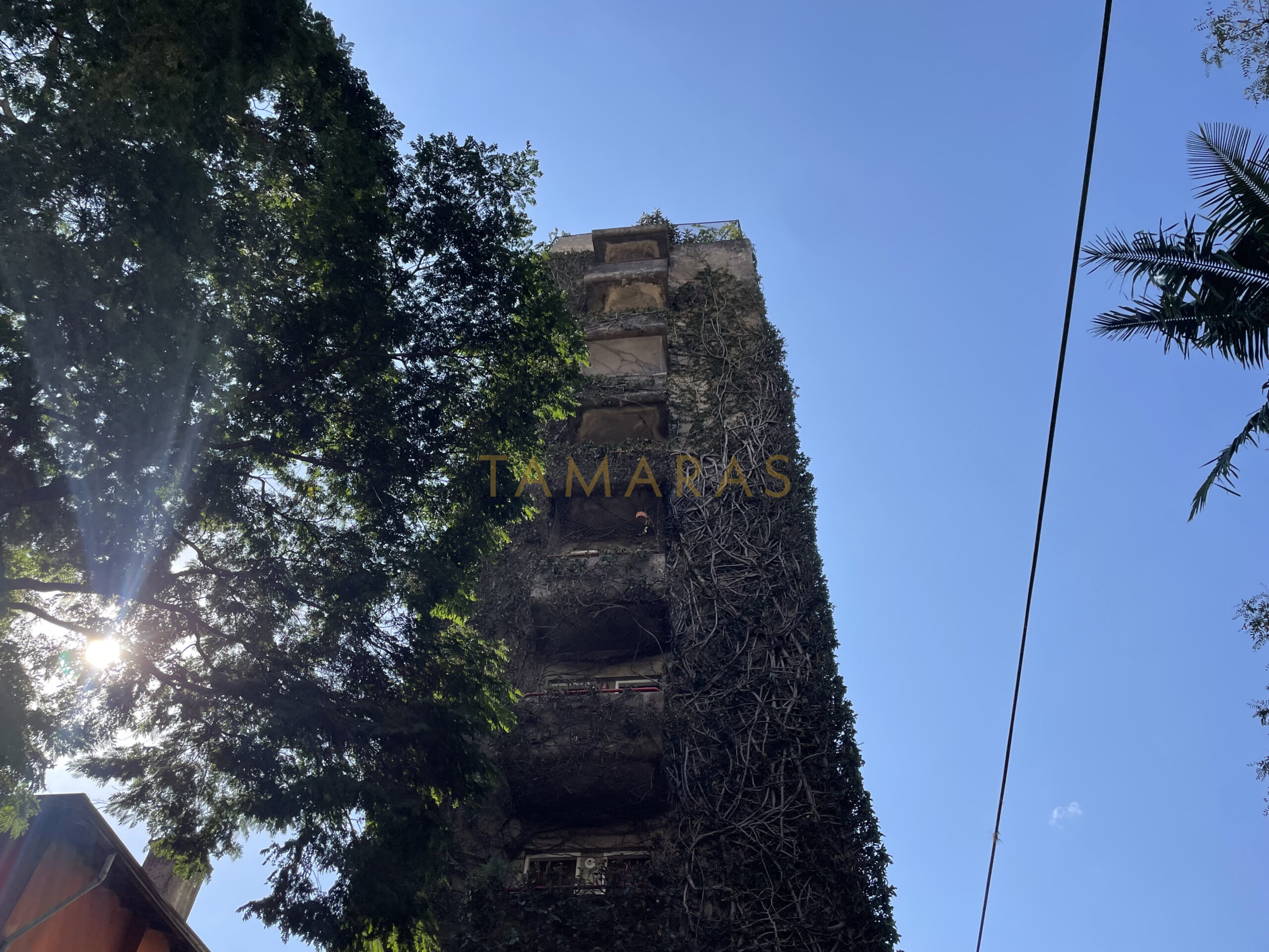 1773505200-41798-01_imagem_01