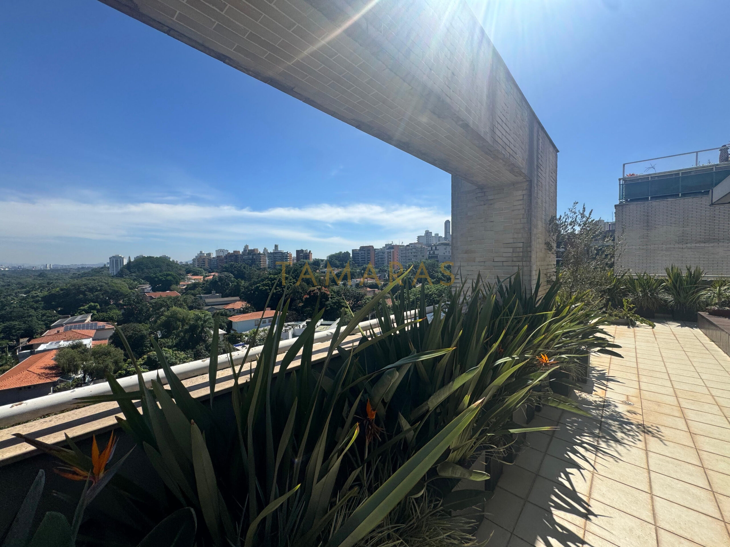 1773508486-24201-03_imagem_03