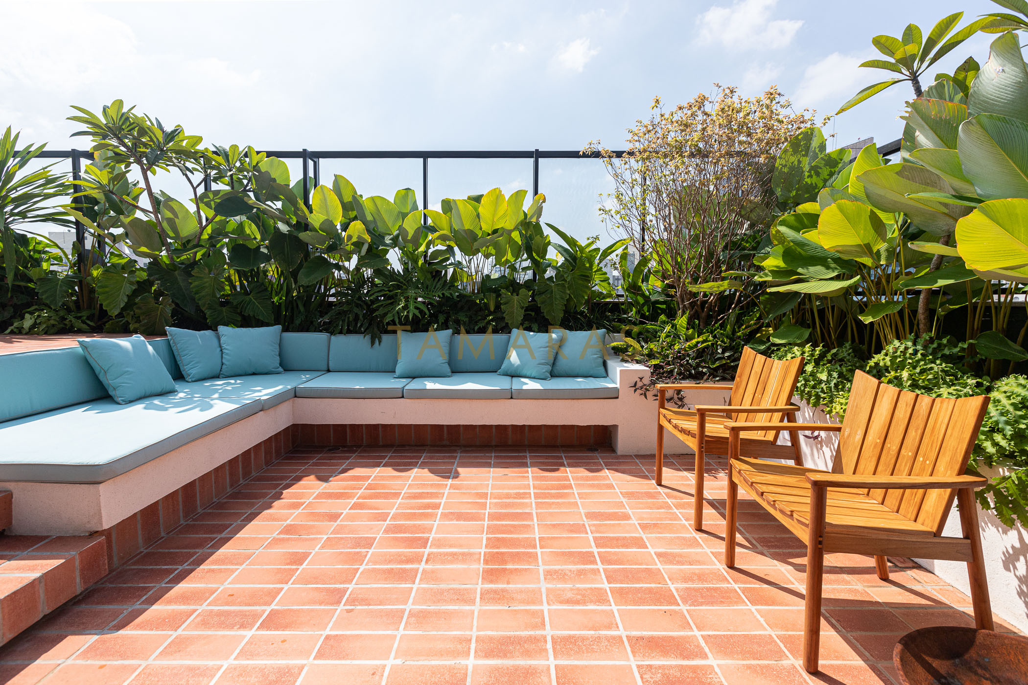 1768420807-45413-02_imagem_02