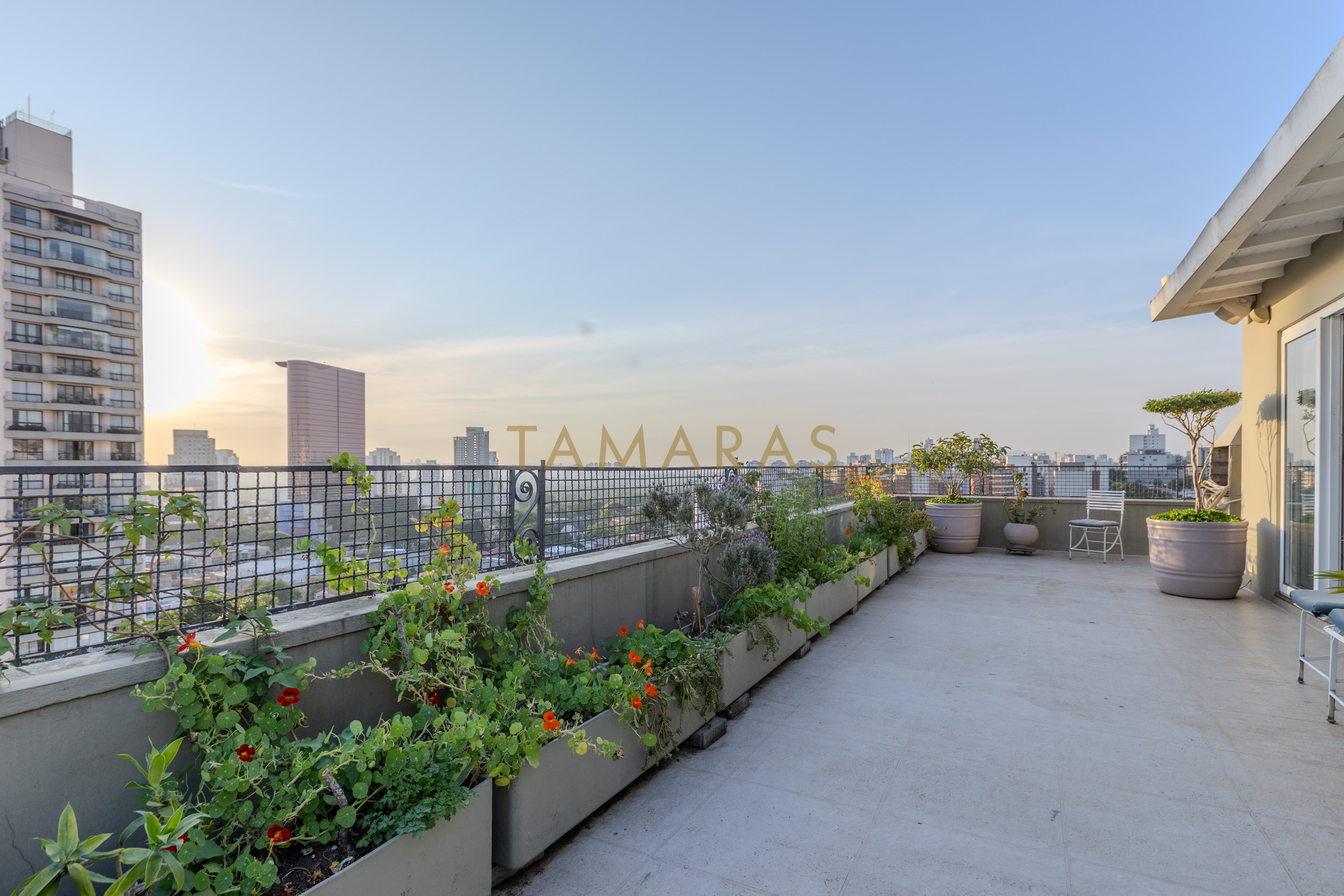 1773580719-51525-01_imagem_01